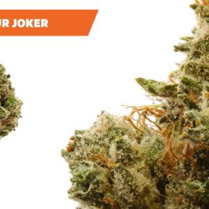 Ajoya - Sour Joker - 20% THC / 2% CBD