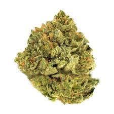 indica-ak47-daily-deal