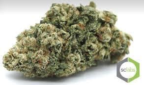 marijuana-dispensaries-606-crested-butte-st-chula-vista-alaskan-purple-private-reserve
