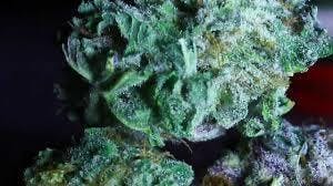 marijuana-dispensaries-11638-victory-blvd-north-hollywood-alice-in-wonderland-top-shelf
