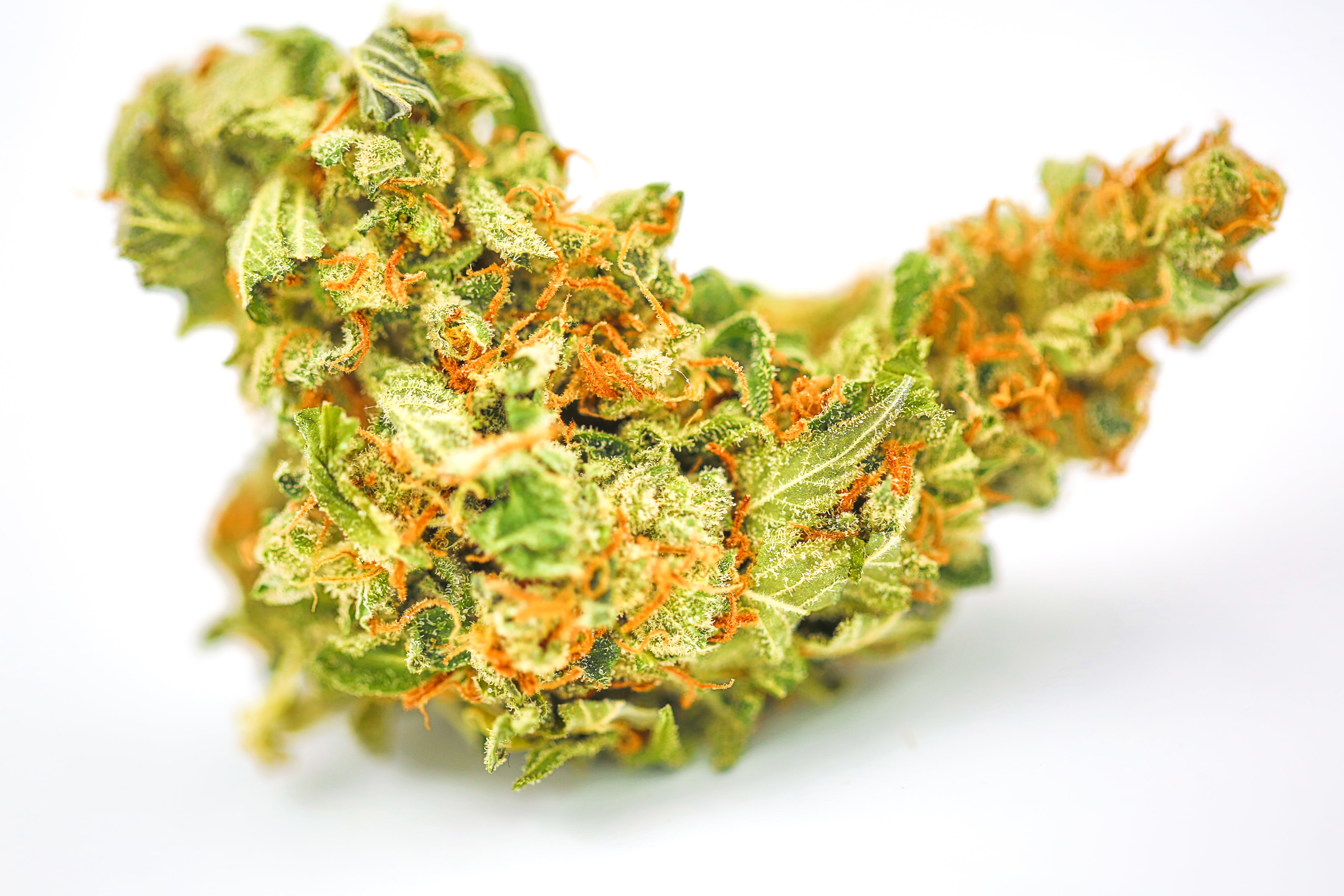 marijuana-dispensaries-24600-west-mcnichols-road-detroit-alien-crack