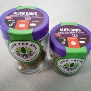 Alien Dawg by From the Soil
