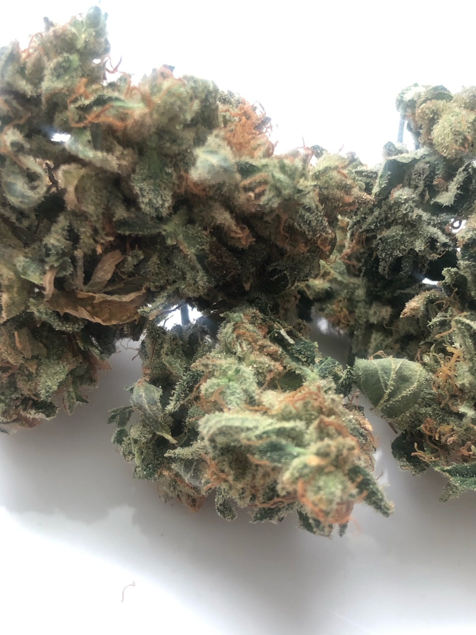 marijuana-dispensaries-by-appointment-only-2c-call-to-verify-fresno-alien-og-24140-ounce-special
