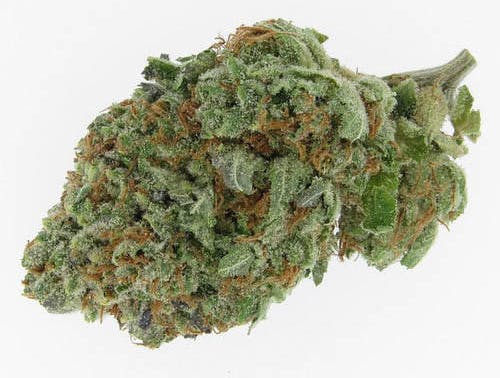 marijuana-dispensaries-mmj-canada-queenston-rd-in-hamilton-alien-og-by-red-hill-pharms