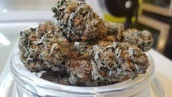 marijuana-dispensaries-altitude-organic-medicine-south-tejon-in-colorado-springs-alien-og-kush