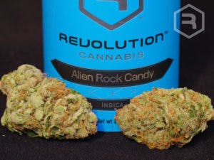 Alien Rock Candy - Ace Revolution