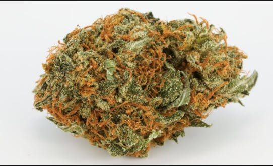 marijuana-dispensaries-260-broadway-denver-alien-rock-crystal