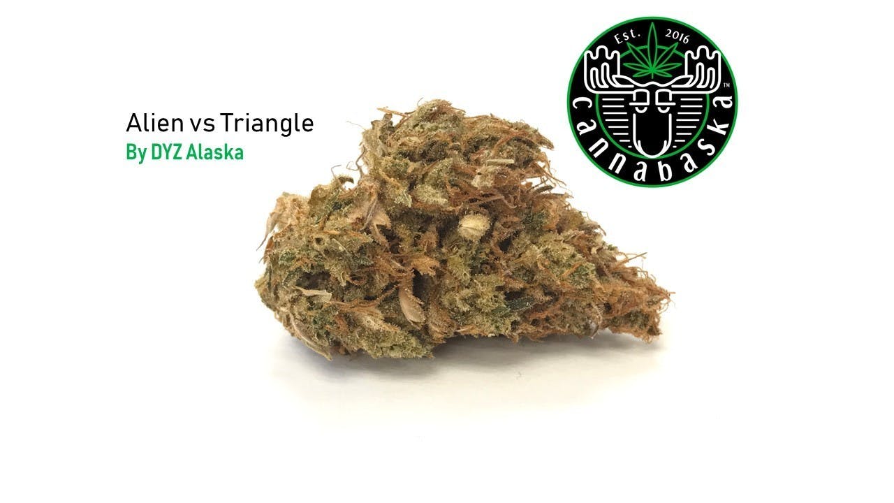 marijuana-dispensaries-521-west-tudor-rd-anchorage-alien-vs-triangle-by-dyz-alaska