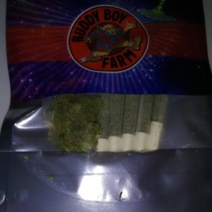 Amazing Grace 3.5g party pack by Buddy Boy