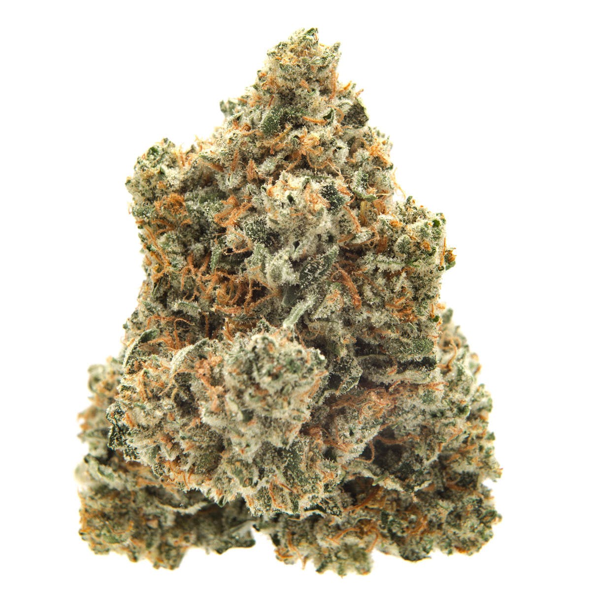 marijuana-dispensaries-new-generation-in-santa-ana-amg-2317