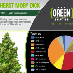 Amherst Moby Dick