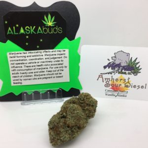 Amherst Sour Diesel THC 26.50% from High Tide Farms