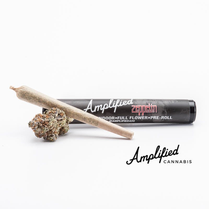Amplified Zeppelin - Green Ribbon
