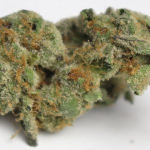 ANIMAL COOKIES *PRIVATE RESERVE*