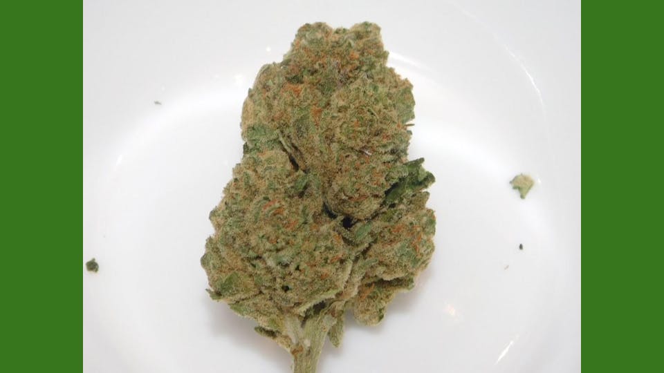 marijuana-dispensaries-6464-e-tanque-verde-rd-tucson-animal-mints-h-s