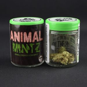 Animal Mintz - Phat Panda
