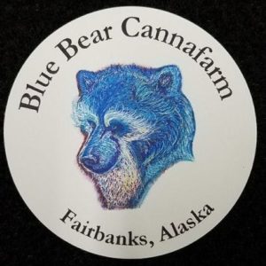 Animal Power 16.03%THC - Blue Bear Cannafarm