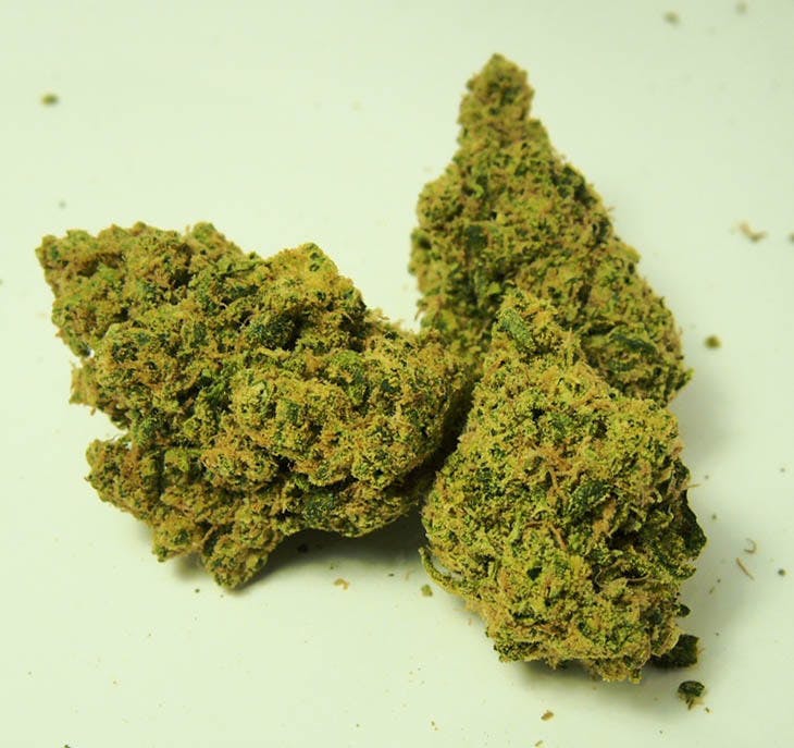 marijuana-dispensaries-verde-natural-boulder-recreational-in-boulder-animal