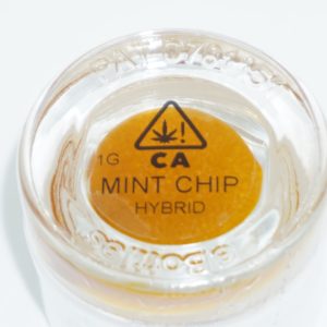 Apex Mint Chip