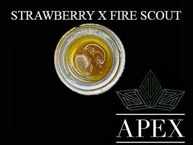 APEX- Strawberry Fields X Fire Scout (Terp Boys)