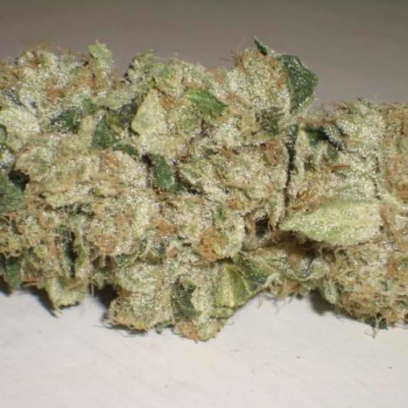 indica-appalachia-og-donate-one-18-2c-get-one-18-free