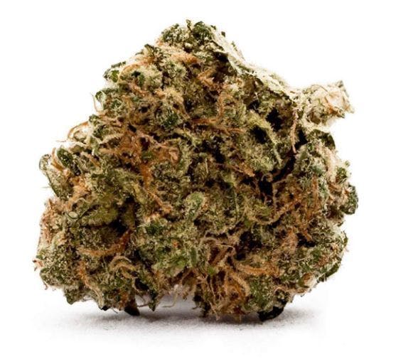 marijuana-dispensaries-3019-toupal-drive-trinidad-apple-sherbet-sativa-24-00-25