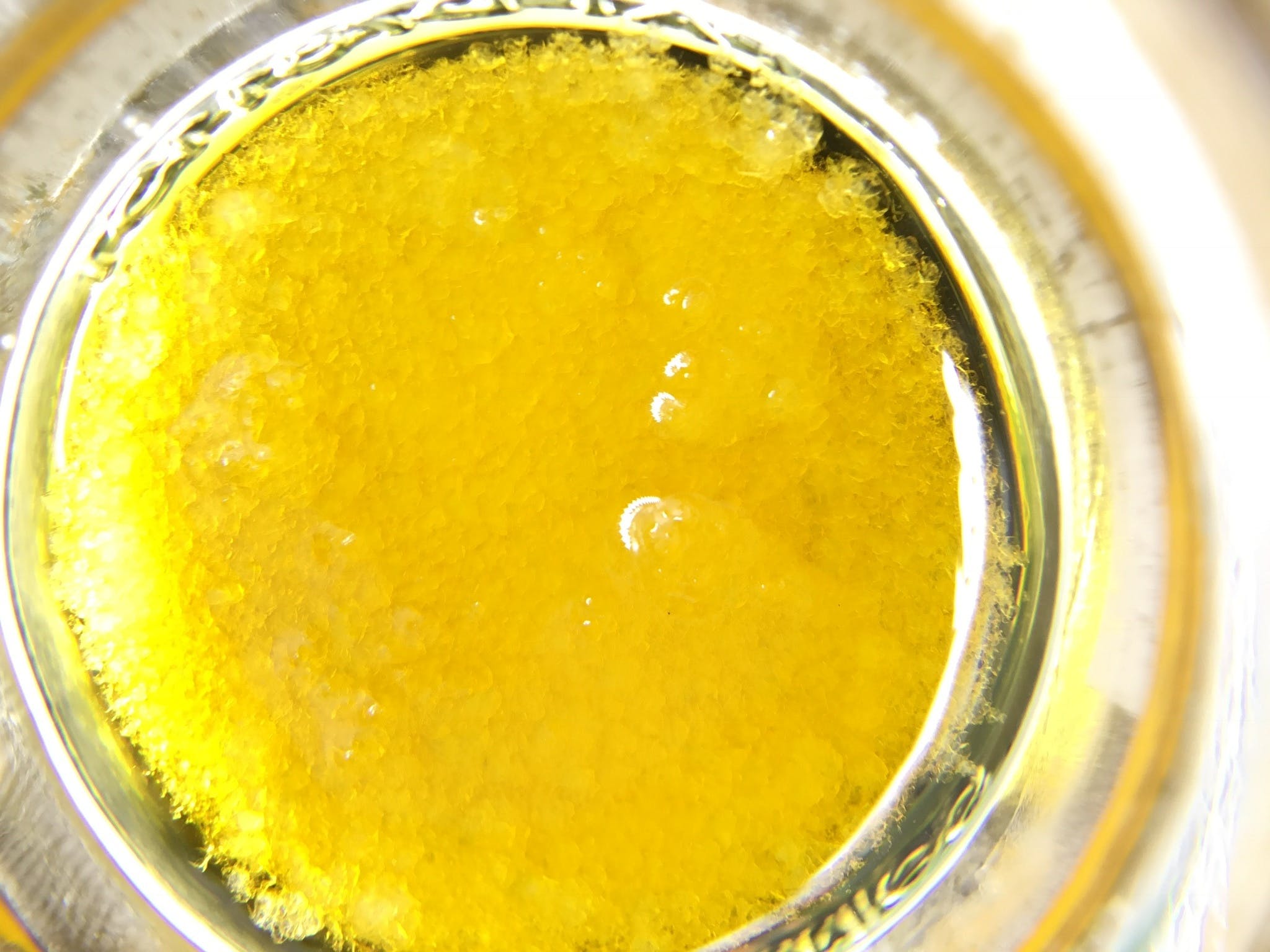 concentrate-arcturus-1g-sauce-blackberry-kush