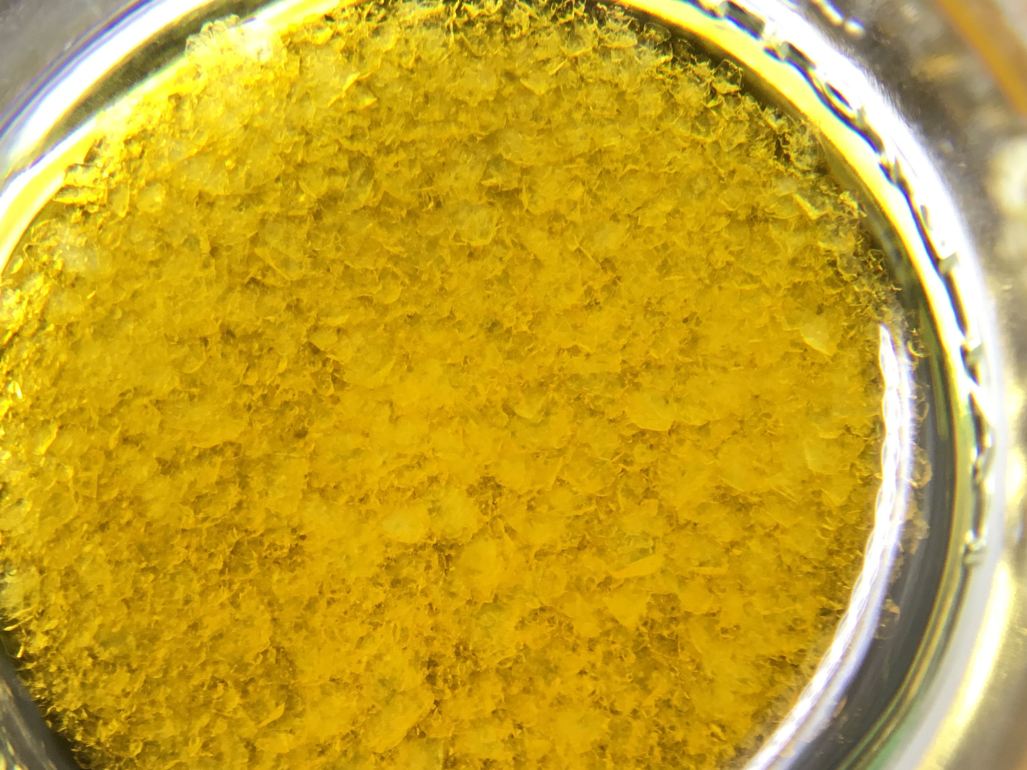 concentrate-arcturus-1g-sauce-sour-berry