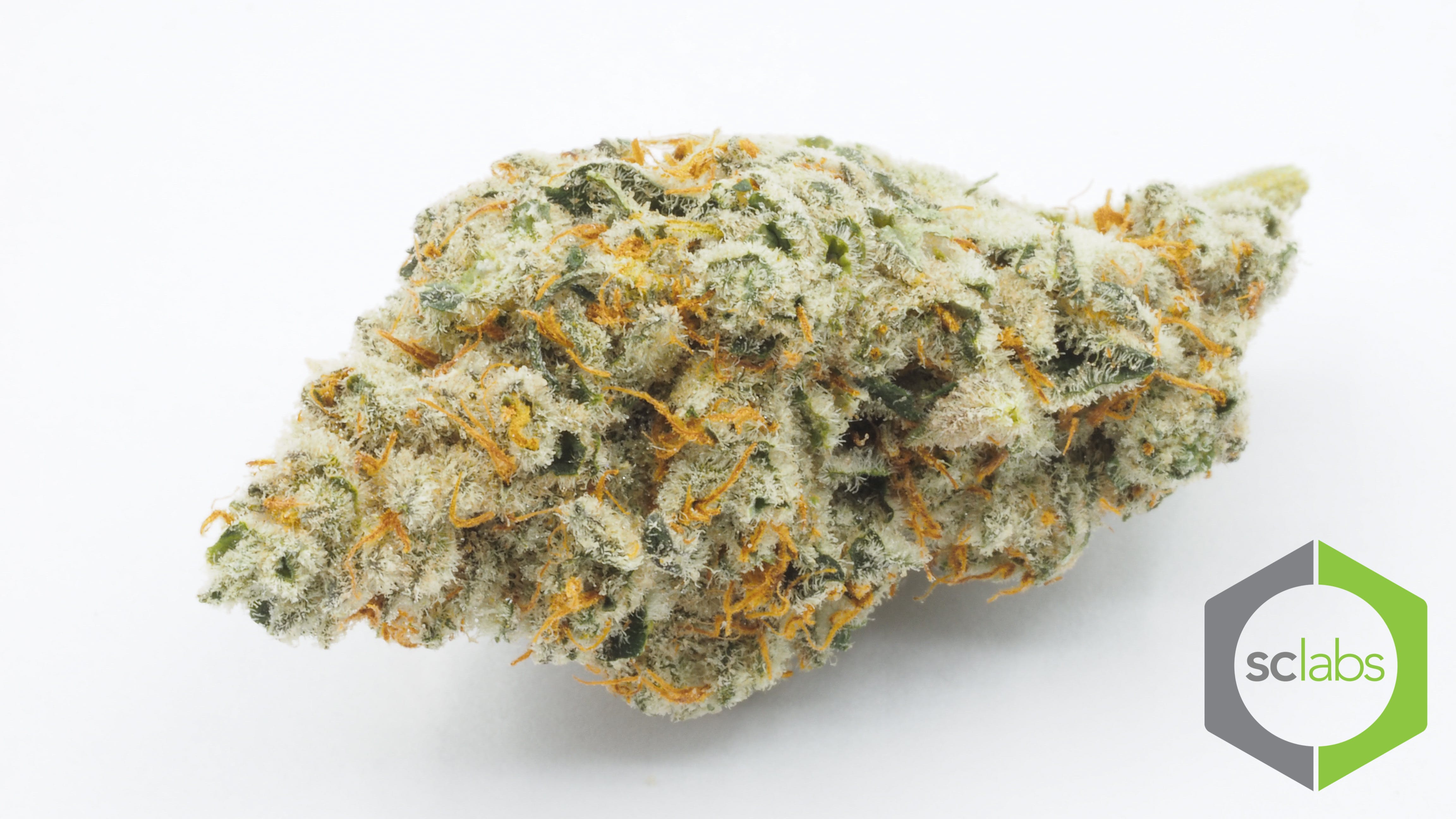 marijuana-dispensaries-3088-winkle-ave-ste-c-santa-cruz-area-51-og
