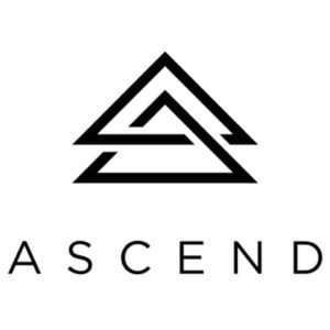 Ascend Cartridge - 500mg - Relieve 4:1