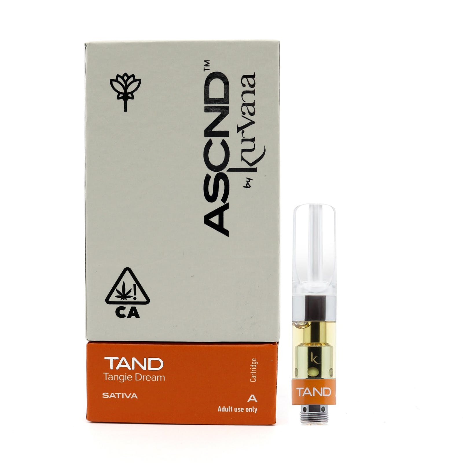 ASCND: Tangie Dream Cartridge - Half Gram