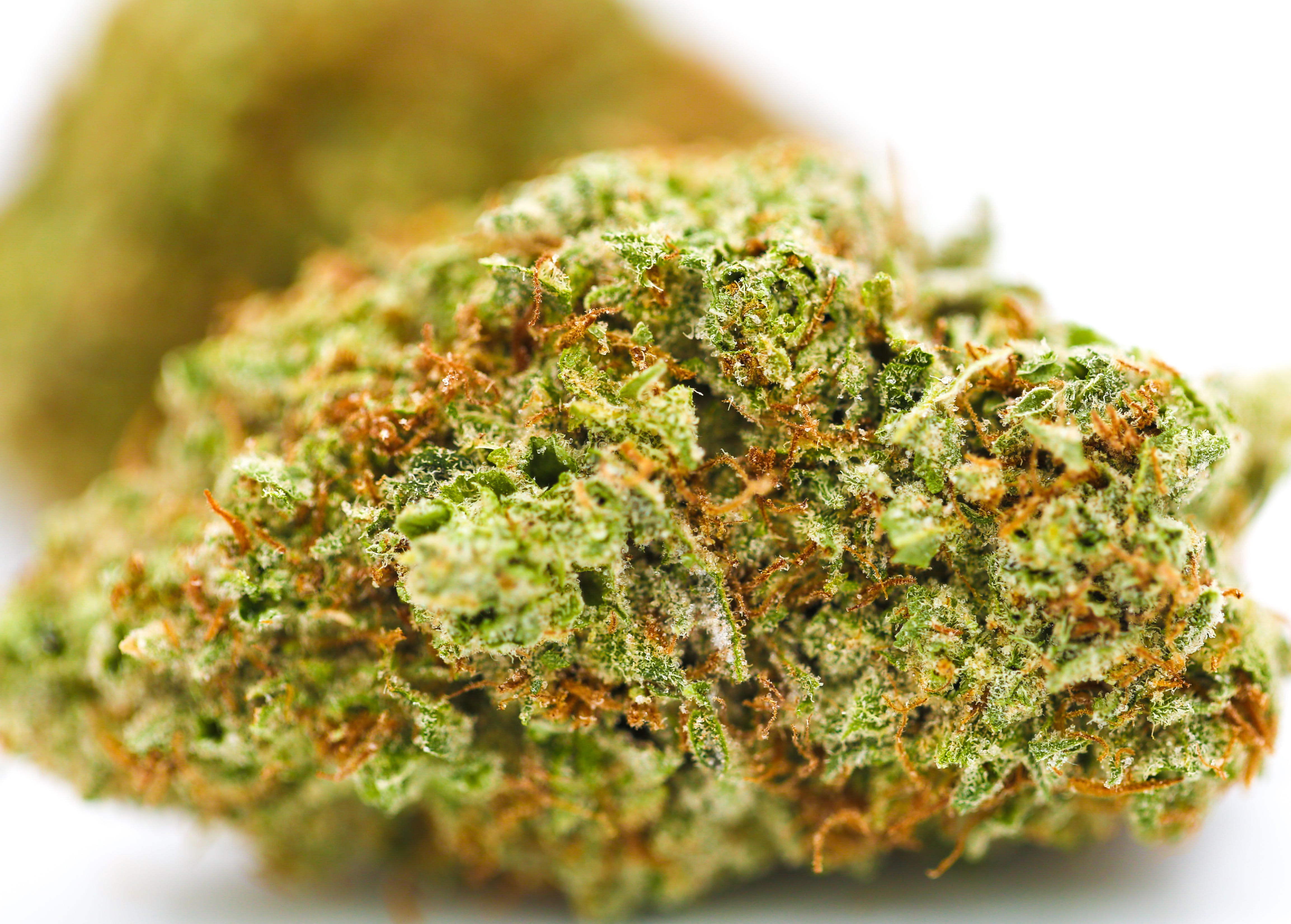 marijuana-dispensaries-24600-west-mcnichols-road-detroit-ashley-og