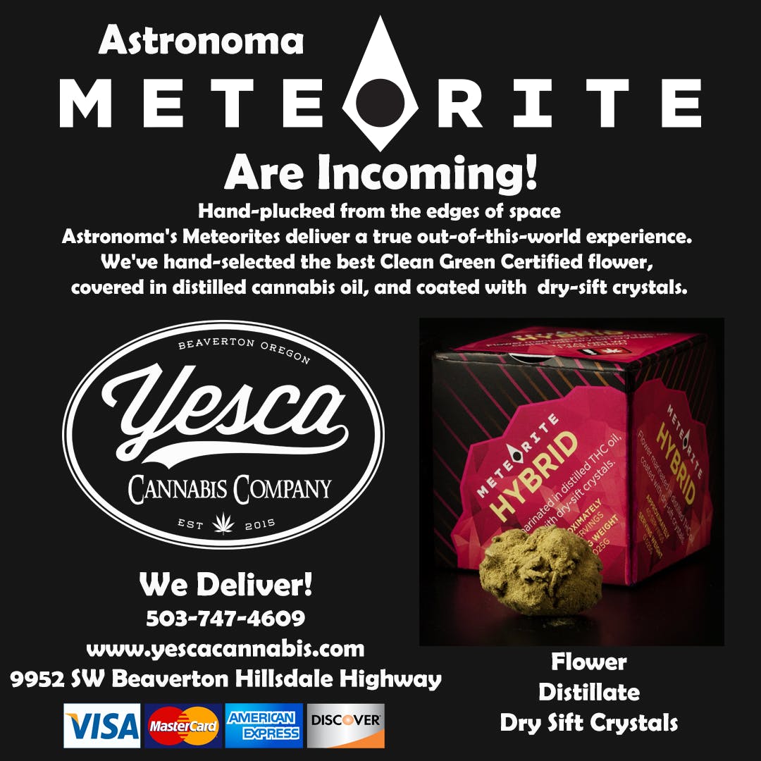concentrate-astronoma-meteorites