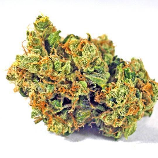 marijuana-dispensaries-2272-north-grand-avenue-east-springfield-atx-east-coast-sour-diesel
