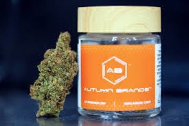 marijuana-dispensaries-1350-lone-palm-ave-modesto-autumn-brand-clementine-sativa-22-2-25thc