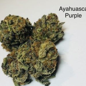 Ayahuasca Purple (Hand Trim)