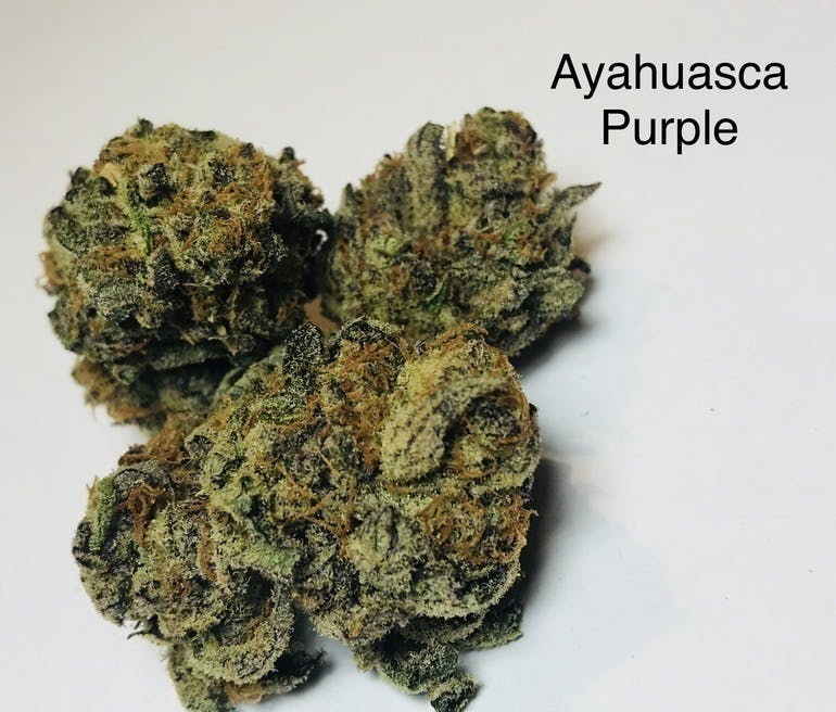 marijuana-dispensaries-975-w-fillmore-colorado-springs-ayahuasca-purple-hand-trim