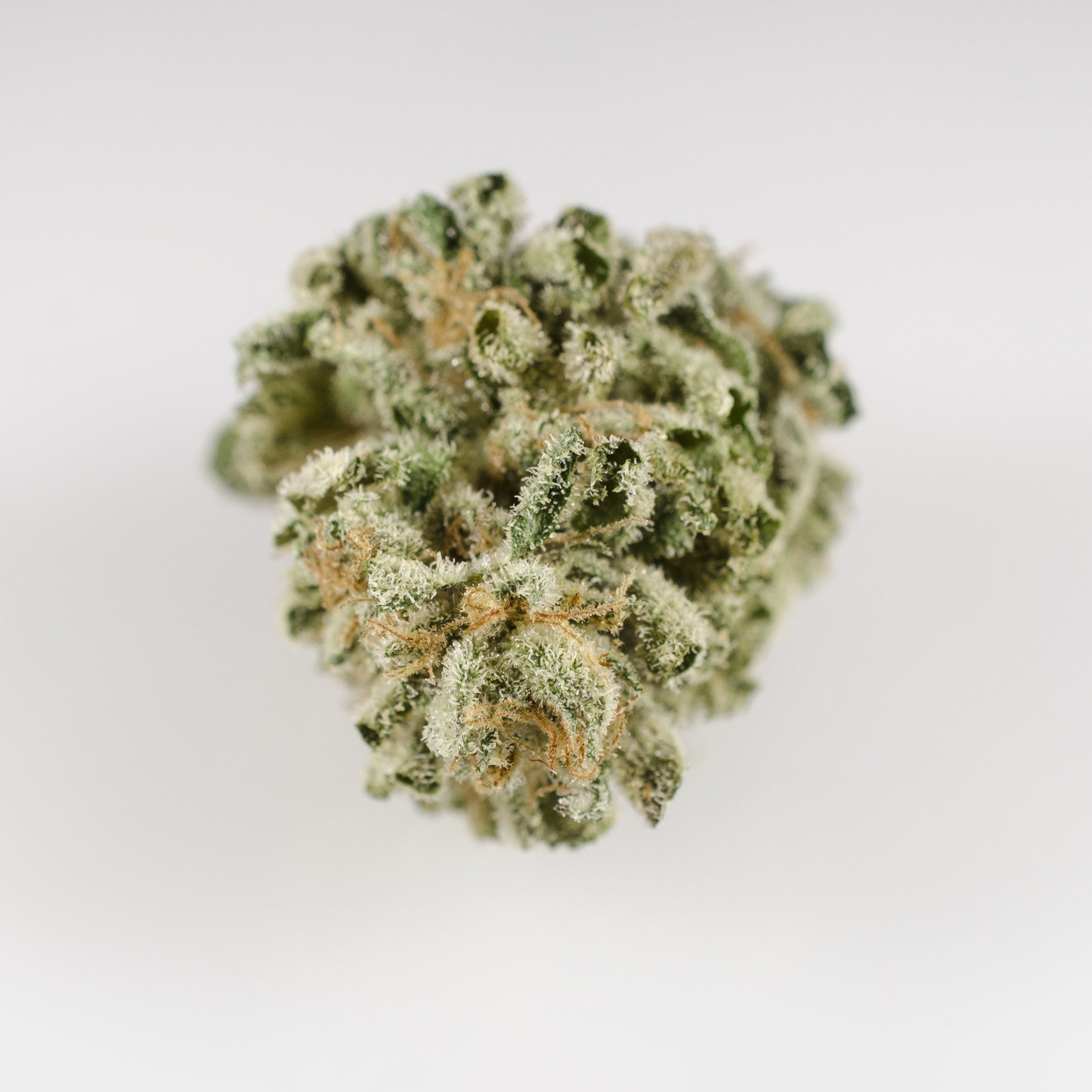 marijuana-dispensaries-5420-arapahoe-unit-f-boulder-b-well-kush-oz-special
