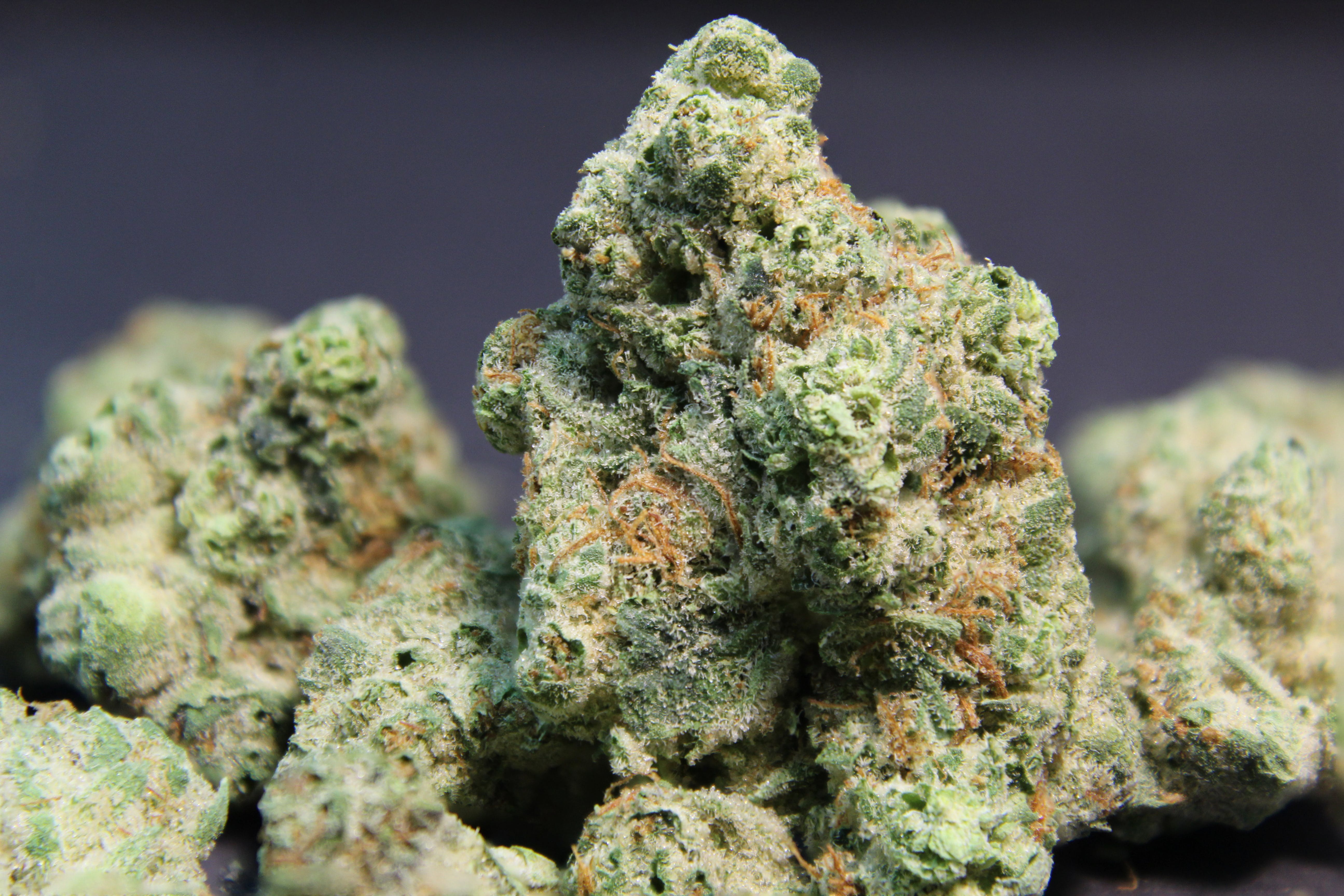 marijuana-dispensaries-revolution-emporium-ukiah-in-ukiah-bad-apple-serpent-og