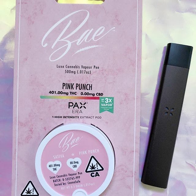 concentrate-bae-pink-punch-pax-era-pod