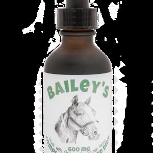 Bailey's CBD 600MG 60ml Tincture | CBD Oil For Pets