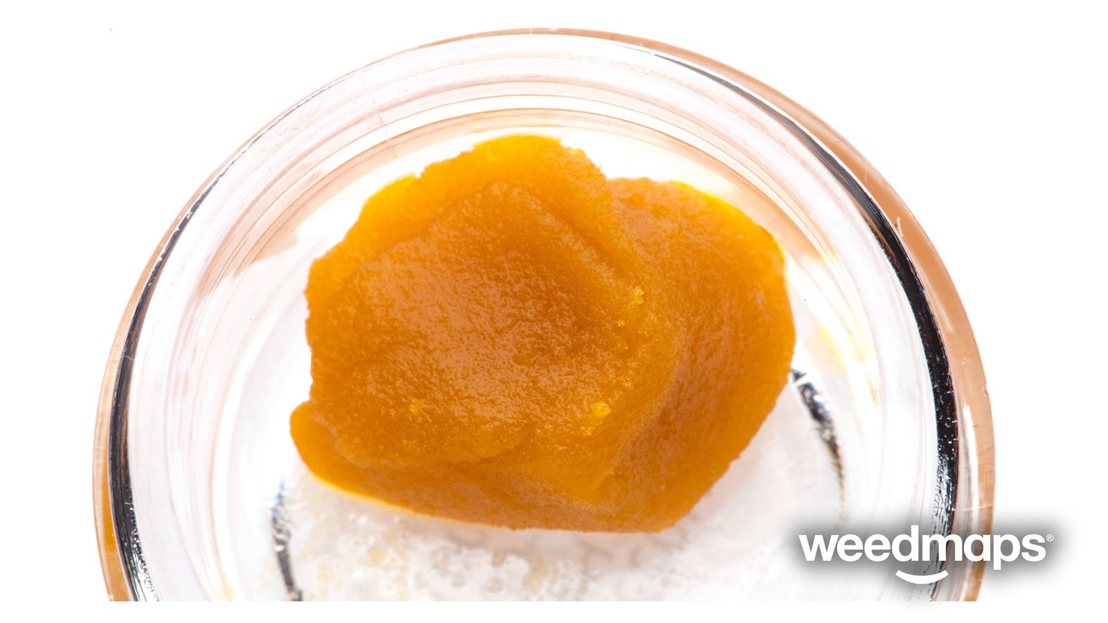 concentrate-ballparkthe-lab-house-wax