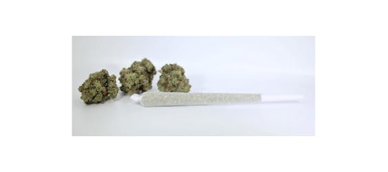 marijuana-dispensaries-2100-east-112th-avenue-235-northglenn-baloney-og-pbj
