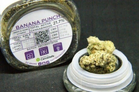 marijuana-dispensaries-mosaic-in-los-angeles-banana-punch-thc-design