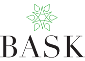BASK+ Wellness Cream 400 mg CBD