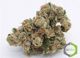 marijuana-dispensaries-207-e-florida-ave-hemet-batman-og-topshelf