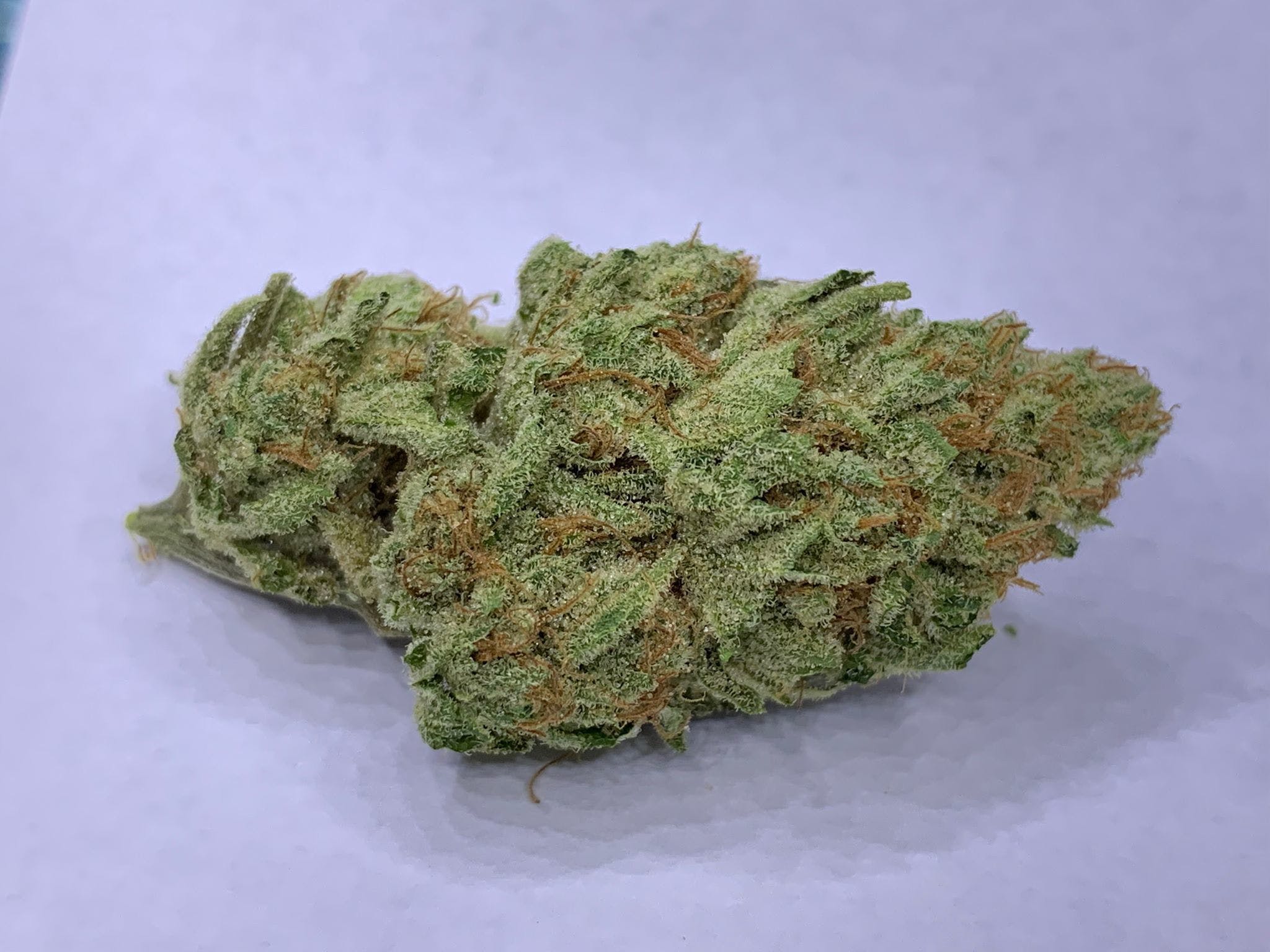 marijuana-dispensaries-3191-s-white-mountain-rd-ste-a-show-low-bay-11-x-white-lotus