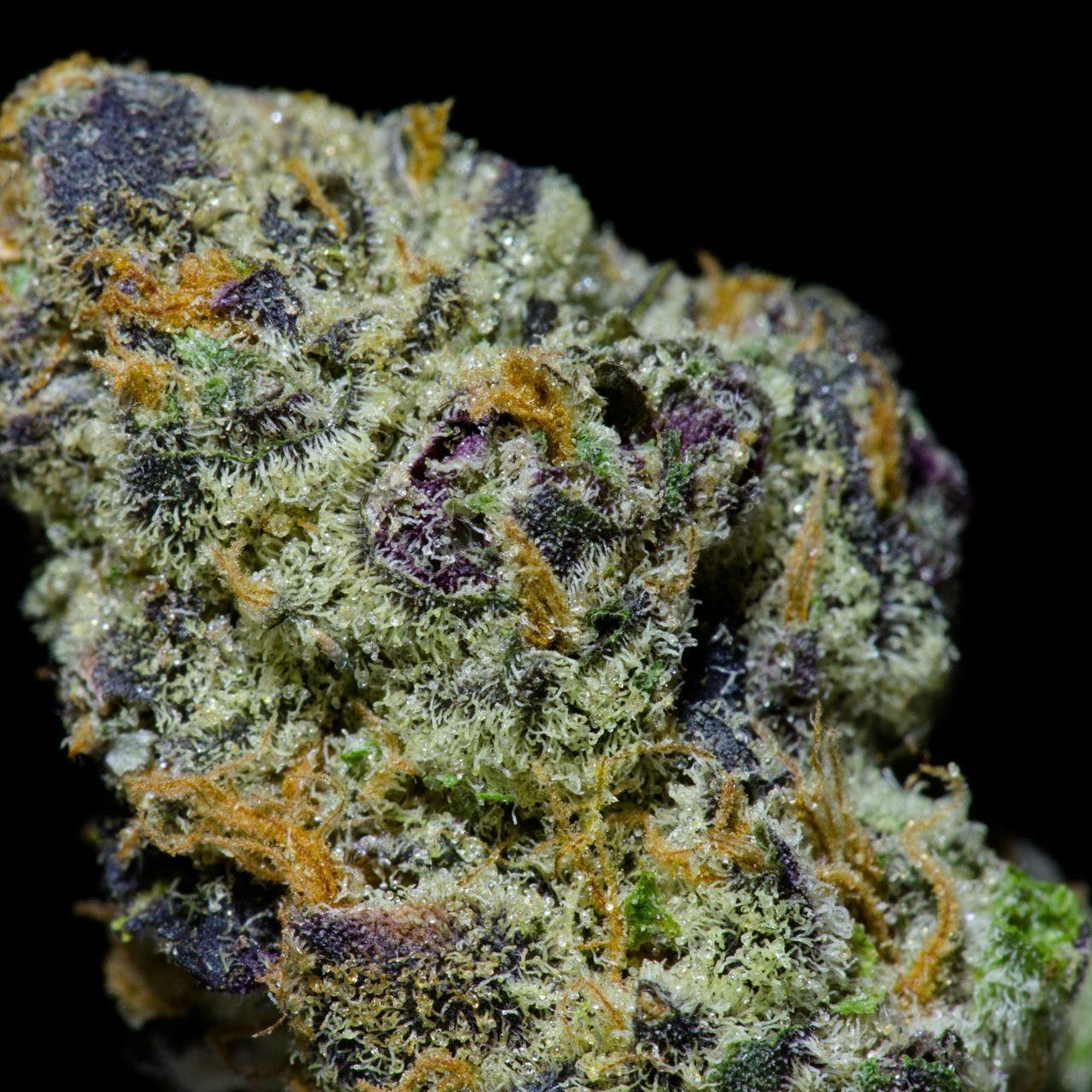 ***BAY AREA *** GIRLSCOUT COOKIES