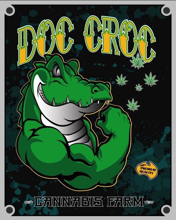 wax-bay-dream-doc-croc