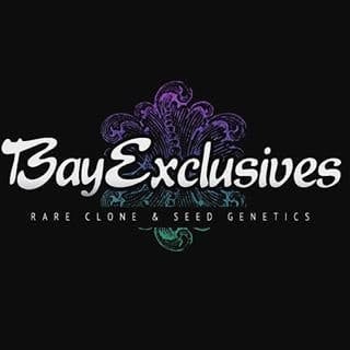 Bay Exclusives: Galactic Animal Cookies